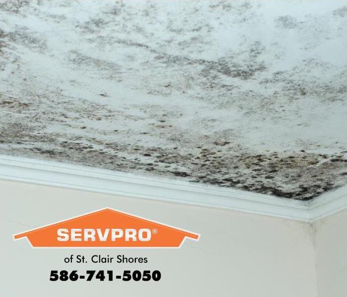 A ceiling in a home is shown covered in mold.