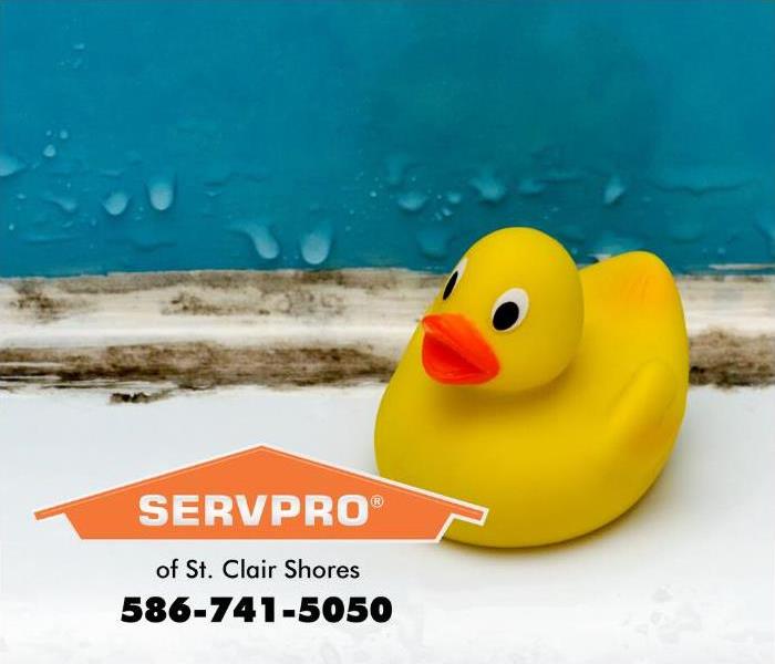 Rubber duck next to SERVPRO logo.