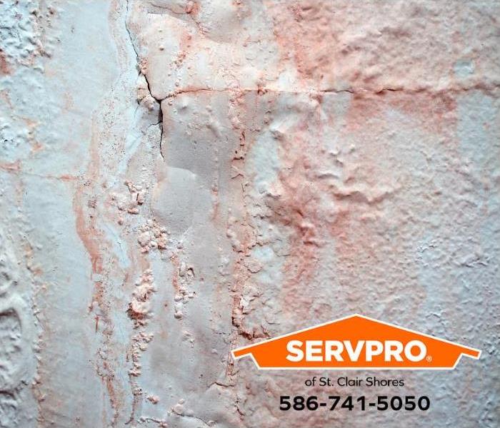 Paint on a damp basement wall is peeling and bubbling.  